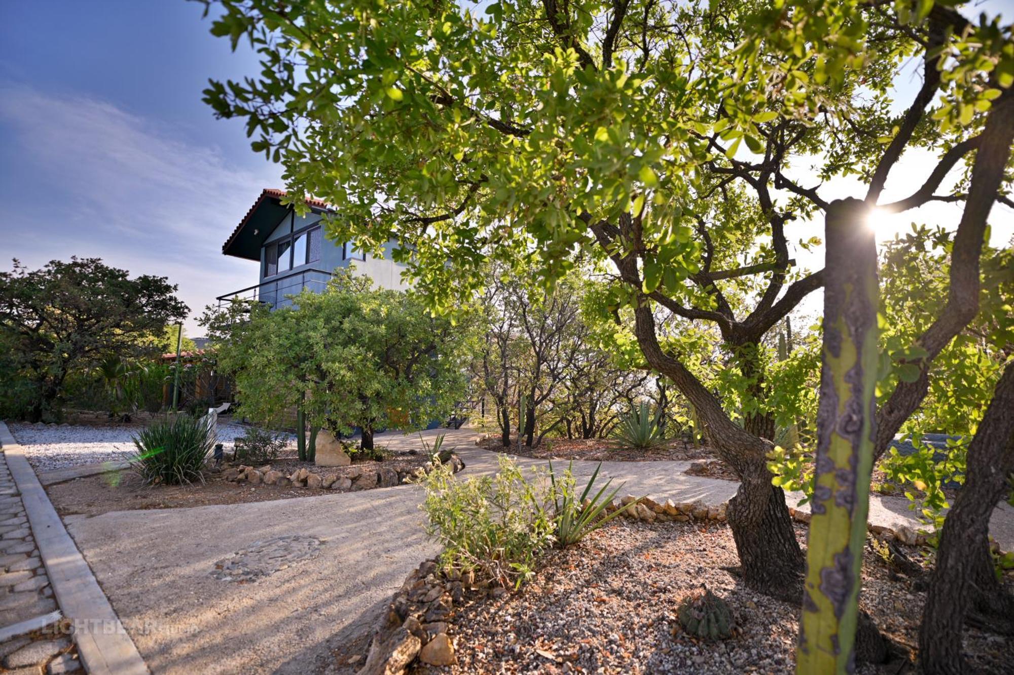 Utopia Casas Boutique Oaxaca Eksteriør billede